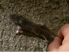 ������� ������� ��������!