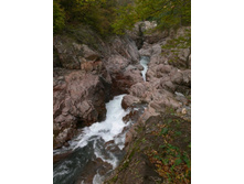 ���������. �����