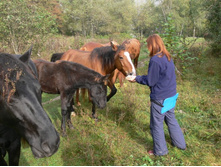 ��������� ������ �������� - ���ף� ���� �����. ���� �� ����� ����.