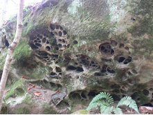 ������ �� ������ � ��������