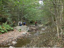 ���� ���