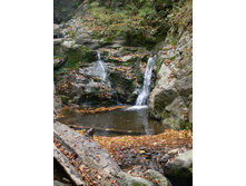 ���� ���