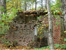 � ��������