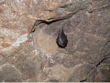 ����. �������. ����.