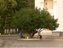 �� �� ���, �� �� �������� �����?