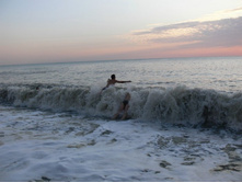 ������ ���������