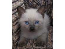 ����������� 004-���.jpg