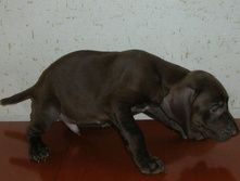 DSCN9324.JPG