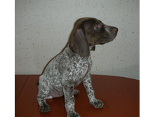 DSCN9338.JPG