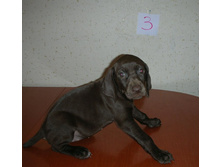 DSCN9356.JPG