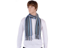 2400970cher-ser-begh-gol-1.207 ���.jpg