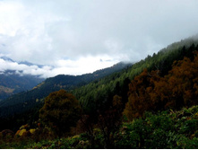 ���� � �������� �������...