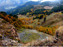 ������ ����� ������� № 1 )))