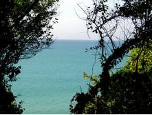 ������ ���� � ������...