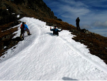 ����������...