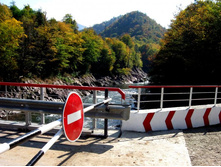 ����, ����...