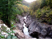 ���������. �����. ��������.