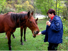 �������-�������... � ������� ����)))