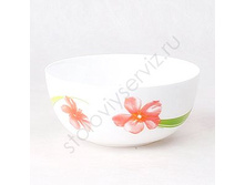 �������� ��*�*� �*��*��*�*� 21��  