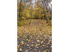 ������� ����������!!!