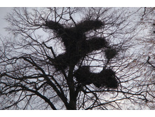 ���-�� ������: �Σ��� �������������!)))