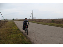 ����������...