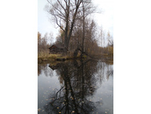 ���� ��������� �������!