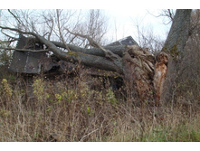 ���� �������!!!)))