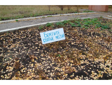 ��� ������������)))