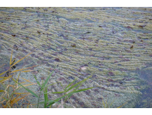 ������� ���������� �� ��������!)))