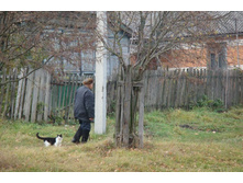 ��� �� ����������� - ������� ��������� ������� � ������� �������������� �������.