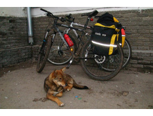 ������������ ������.