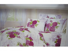 ����� Carolina SC004 220x240.jpg