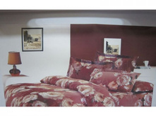 ����� Carolina XWF001 220x240.jpg