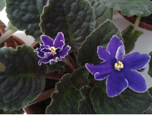 2012-11-07 14.20.29.jpg