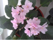 2012-11-07 14.20.42.jpg