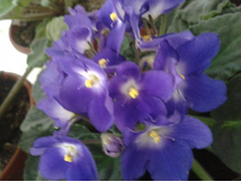 2012-11-07 14.20.53.jpg