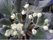 2012-11-07 14.21.00.jpg