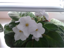 2012-11-07 14.21.08.jpg