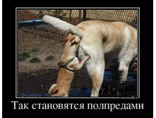 ������� ��������.jpg