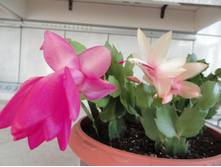 ��������� 5.JPG