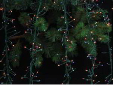 TLN200CLEAR ����.��������� ���� 2,4��384 �������� 8 �������.jpg