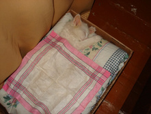 ���� 2 ������)