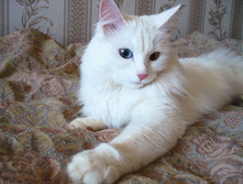 ������������ ��� ��...)