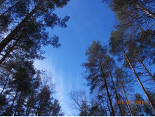 DSCN1870.JPG