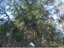 DSCN1871.JPG