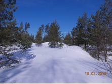 DSCN1875.JPG