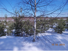 DSCN1876.JPG