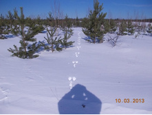 DSCN1879.JPG