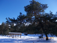 DSCN1914.JPG